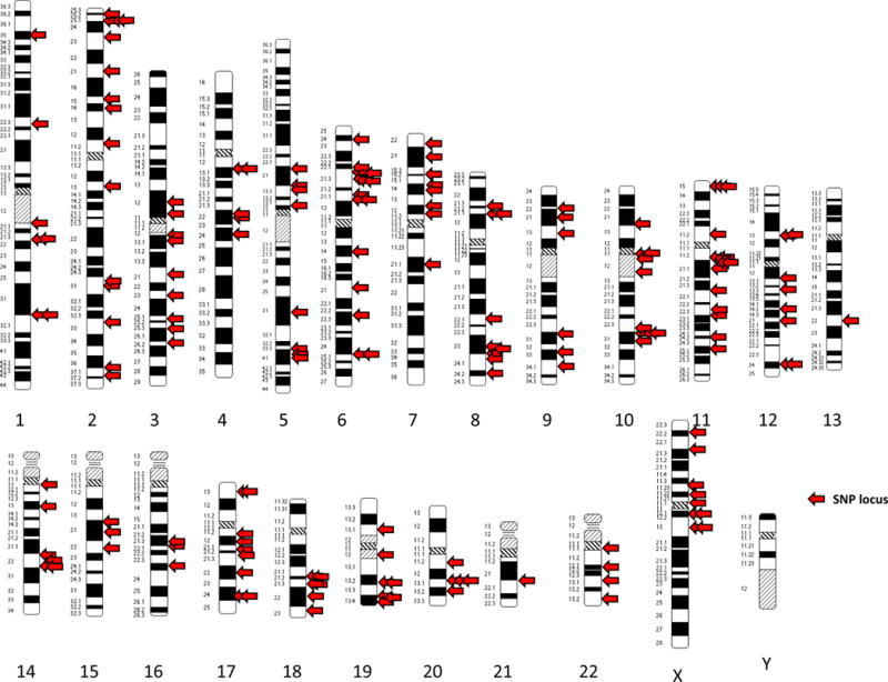 A Review of Prostate Cancer Genome Wide Association Studies (GWAS) - PMC