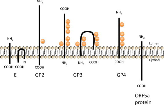 Fig. 8