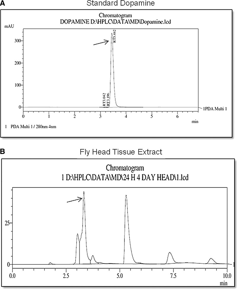 FIG. 7.