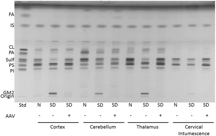 Figure 5.