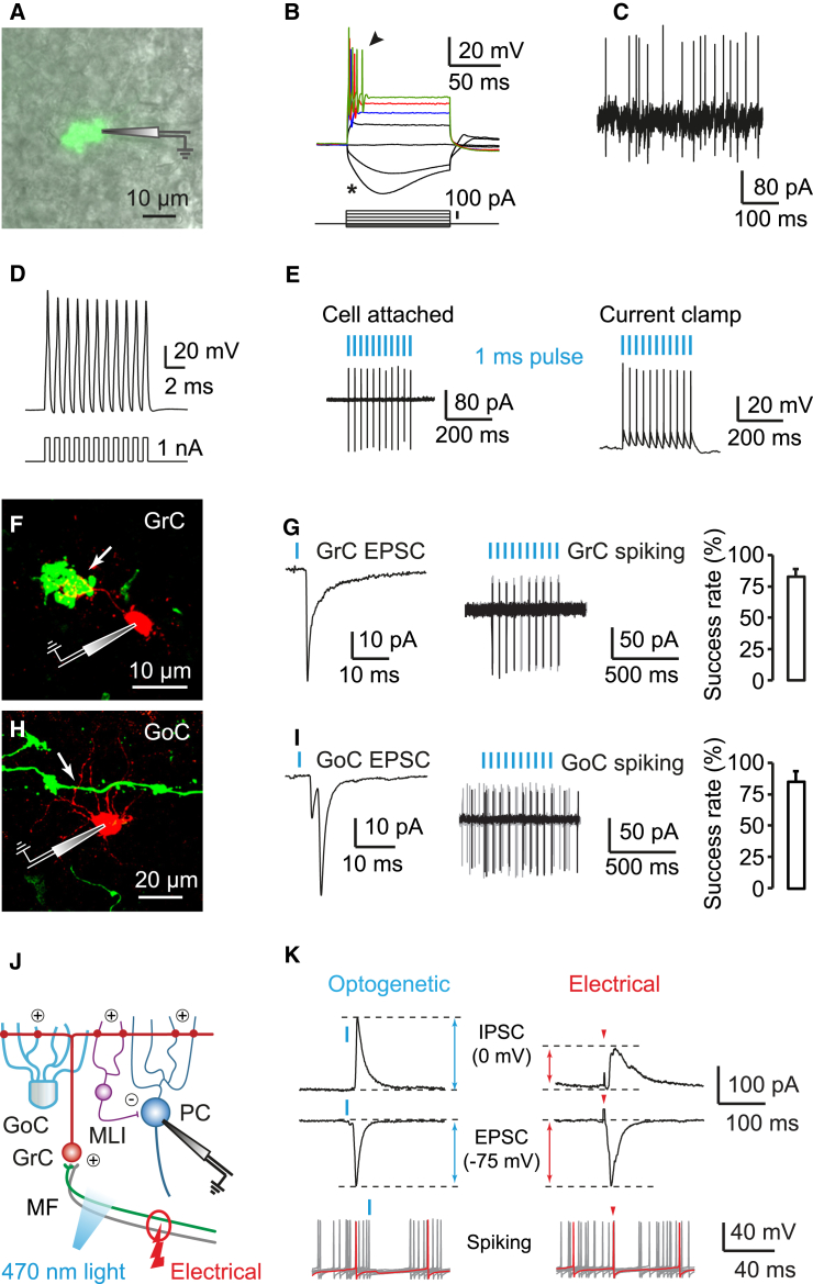 Figure 4