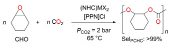 graphic file with name molecules-25-04364-i005.jpg