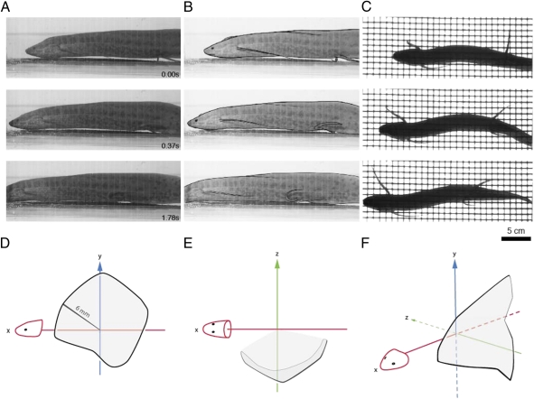 Fig. 3.