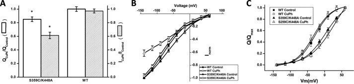 FIGURE 10.