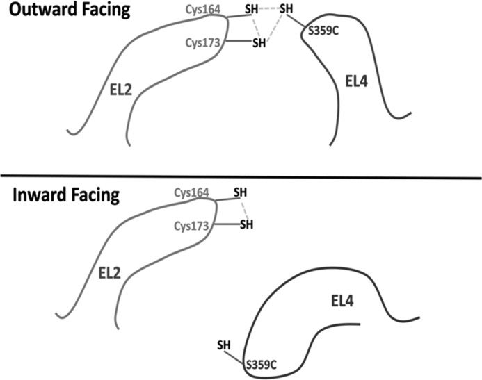 FIGURE 11.