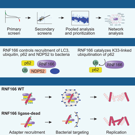 graphic file with name nihms831285f5.jpg