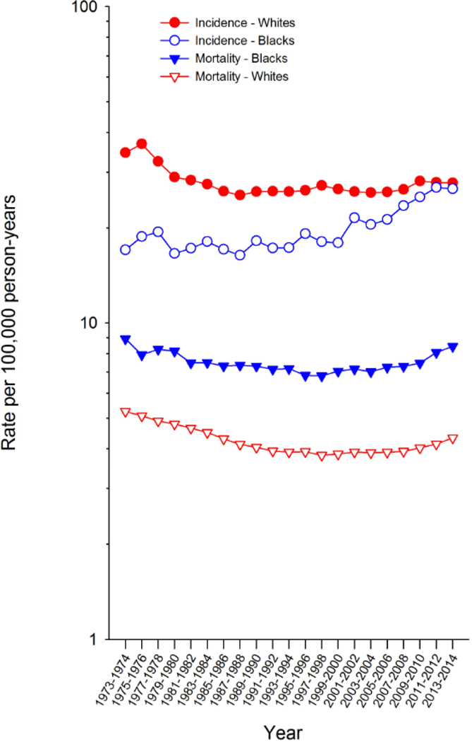 Figure 3 –