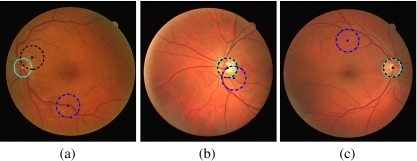 Fig. 3