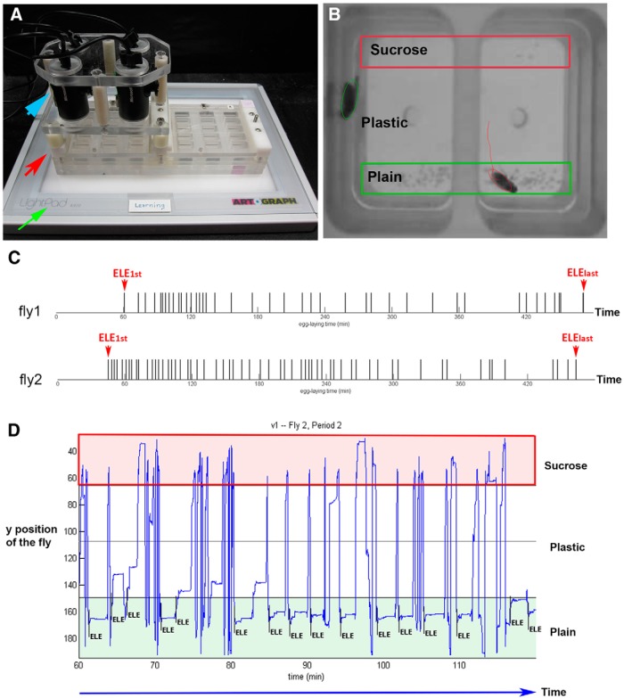 Figure 2.