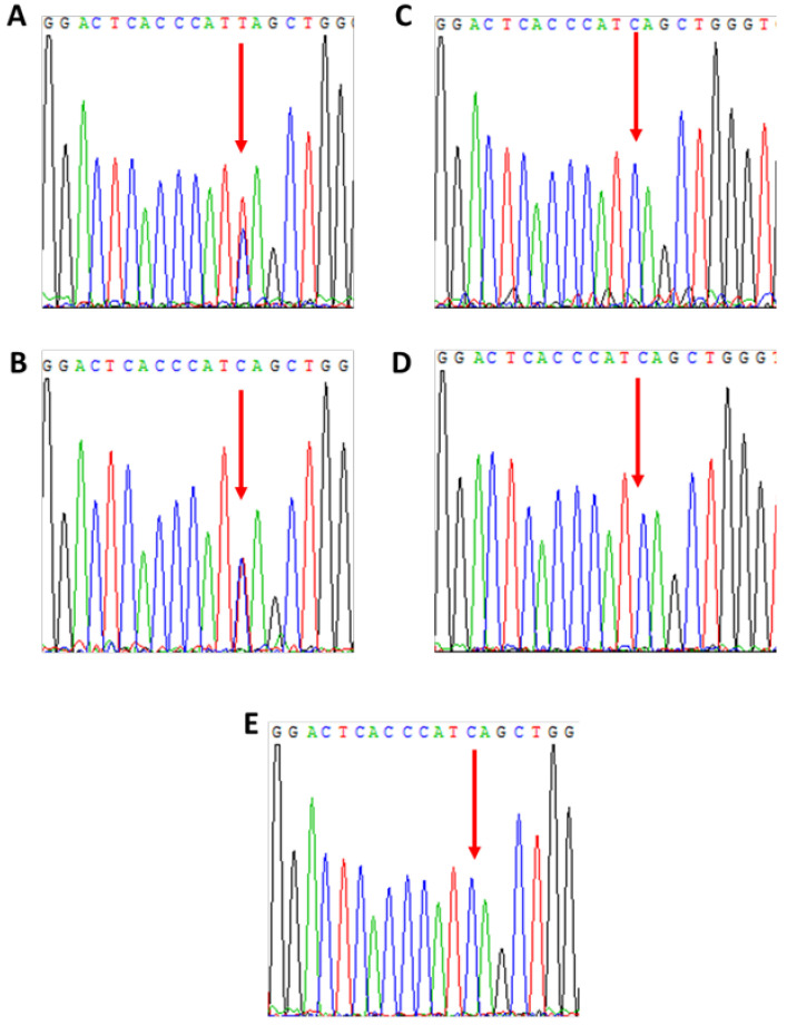 Figure 5