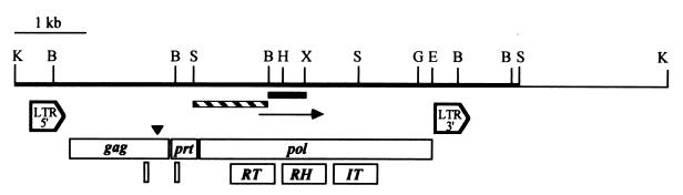 FIG. 1