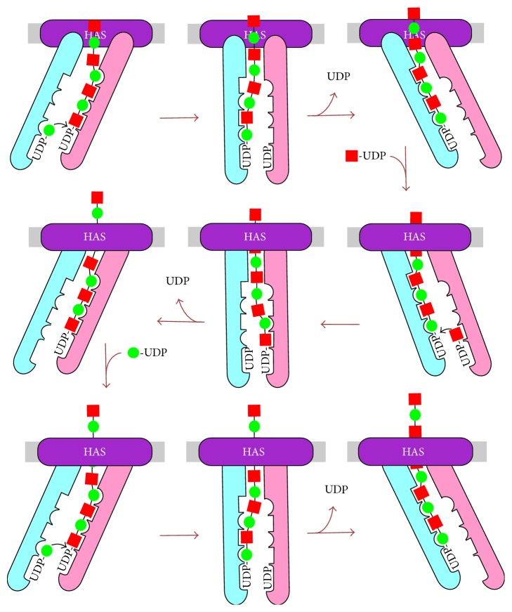 Figure 7