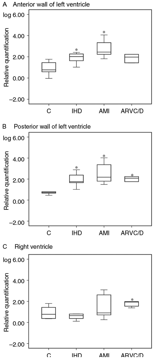 Figure 2.