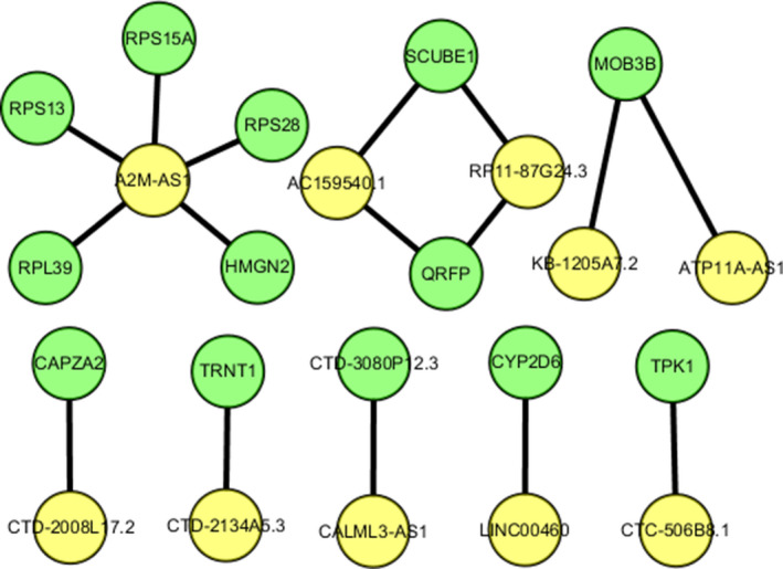 FIGURE 7