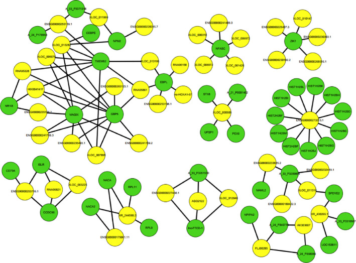 FIGURE 2