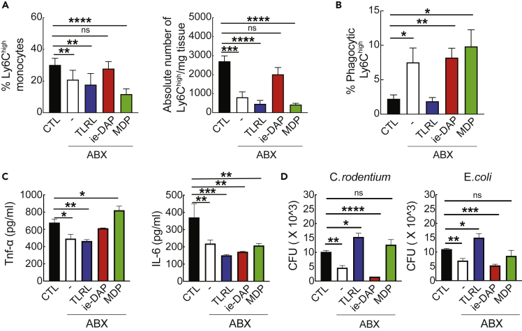 Figure 4