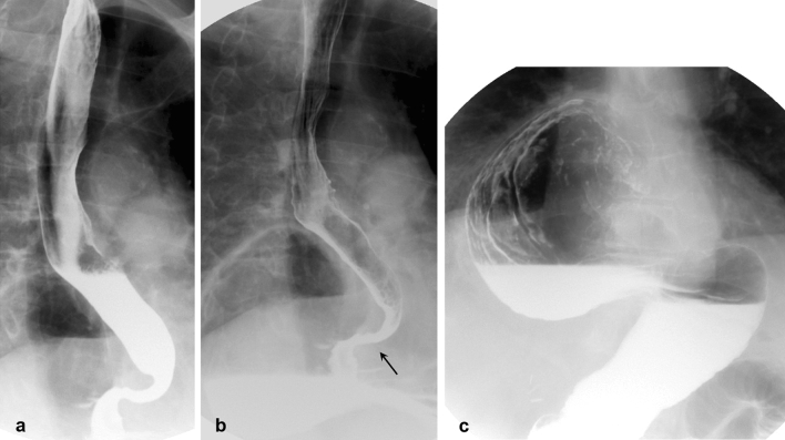 Fig. 5