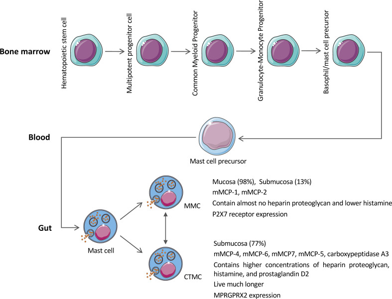 Figure 2