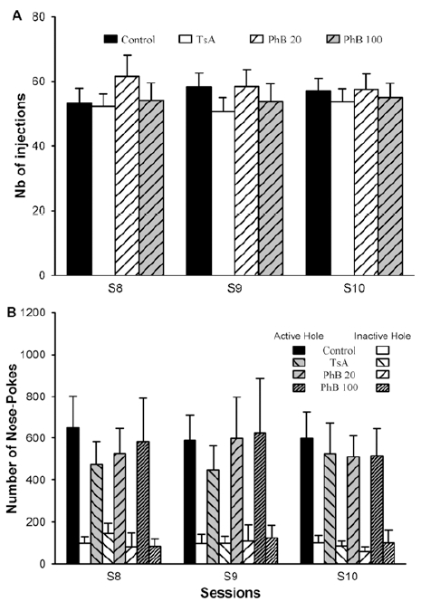 Fig. (1). I.v. cocaine self-administration by rats during the 3 last FR1 sessions.