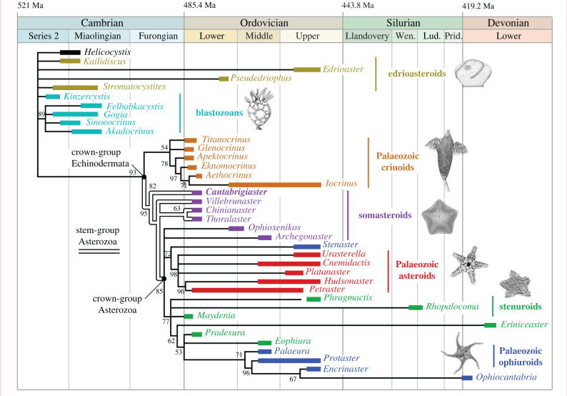 Figure 2.