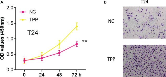 Figure 9