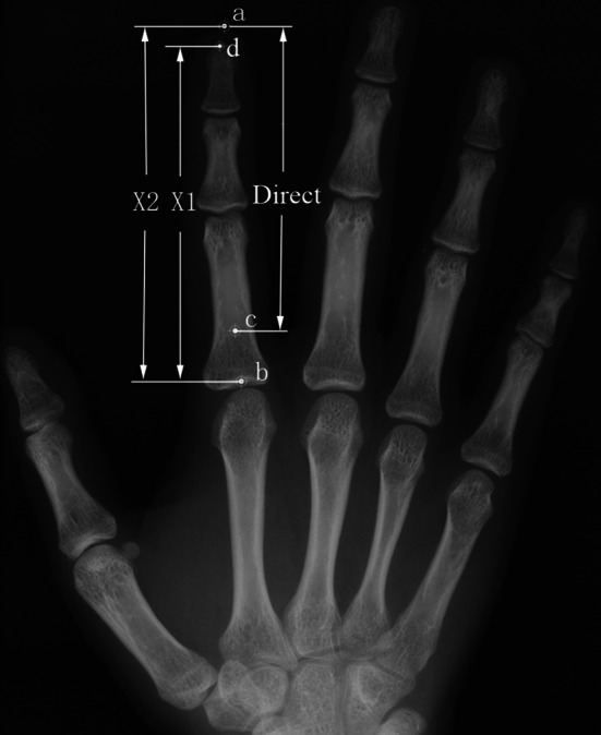 Fig. 1