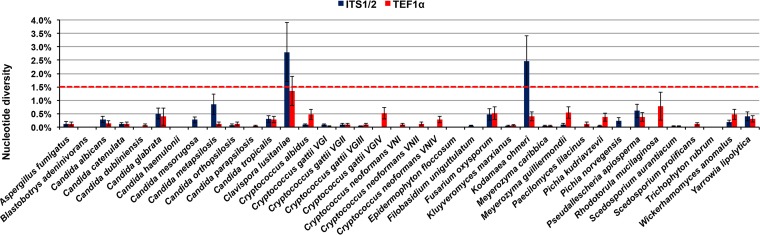 FIG 1