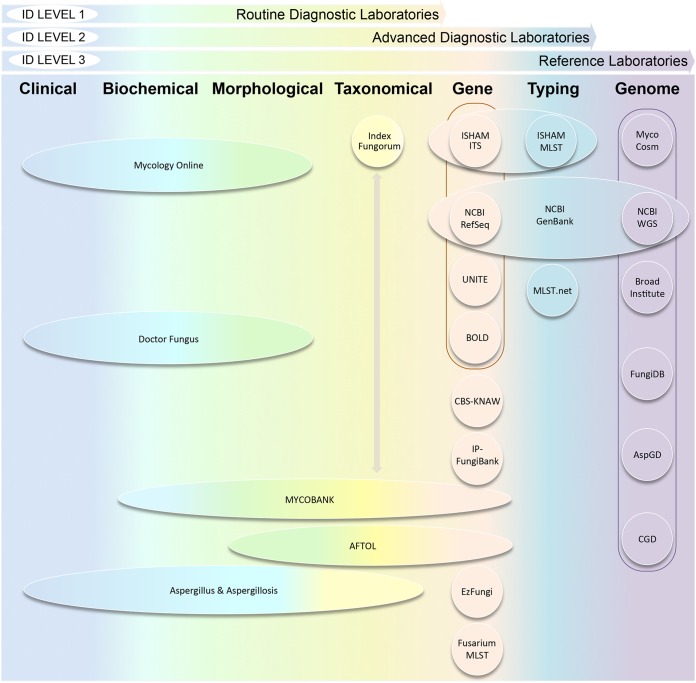 FIG 2