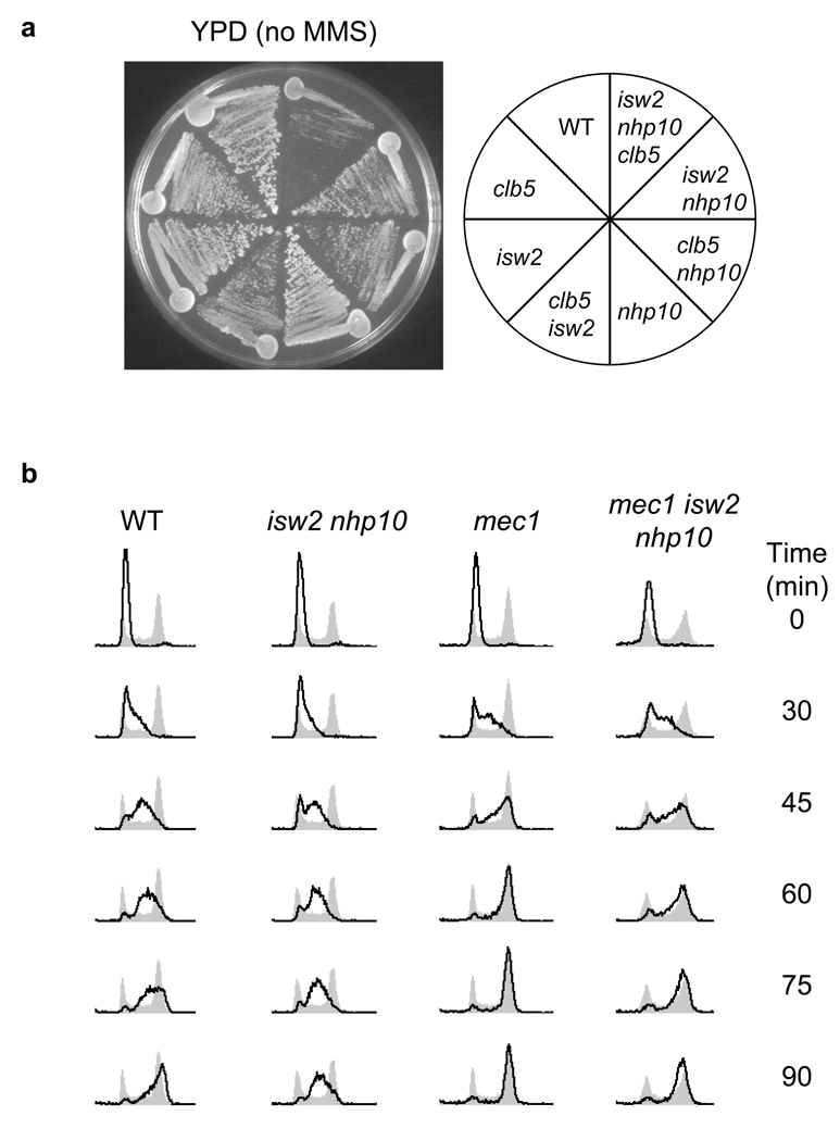 Figure 5