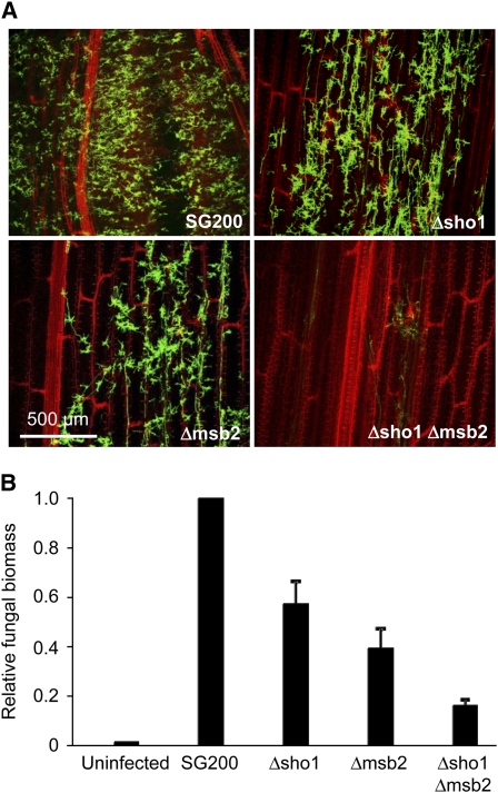 Figure 3.