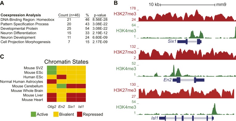 Figure 4—figure supplement 4.