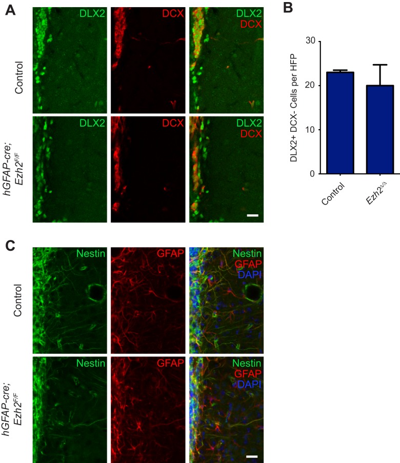 Figure 2—figure supplement 3.