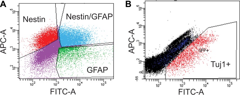 Figure 4—figure supplement 1.