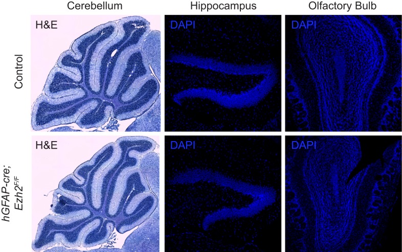 Figure 2—figure supplement 2.