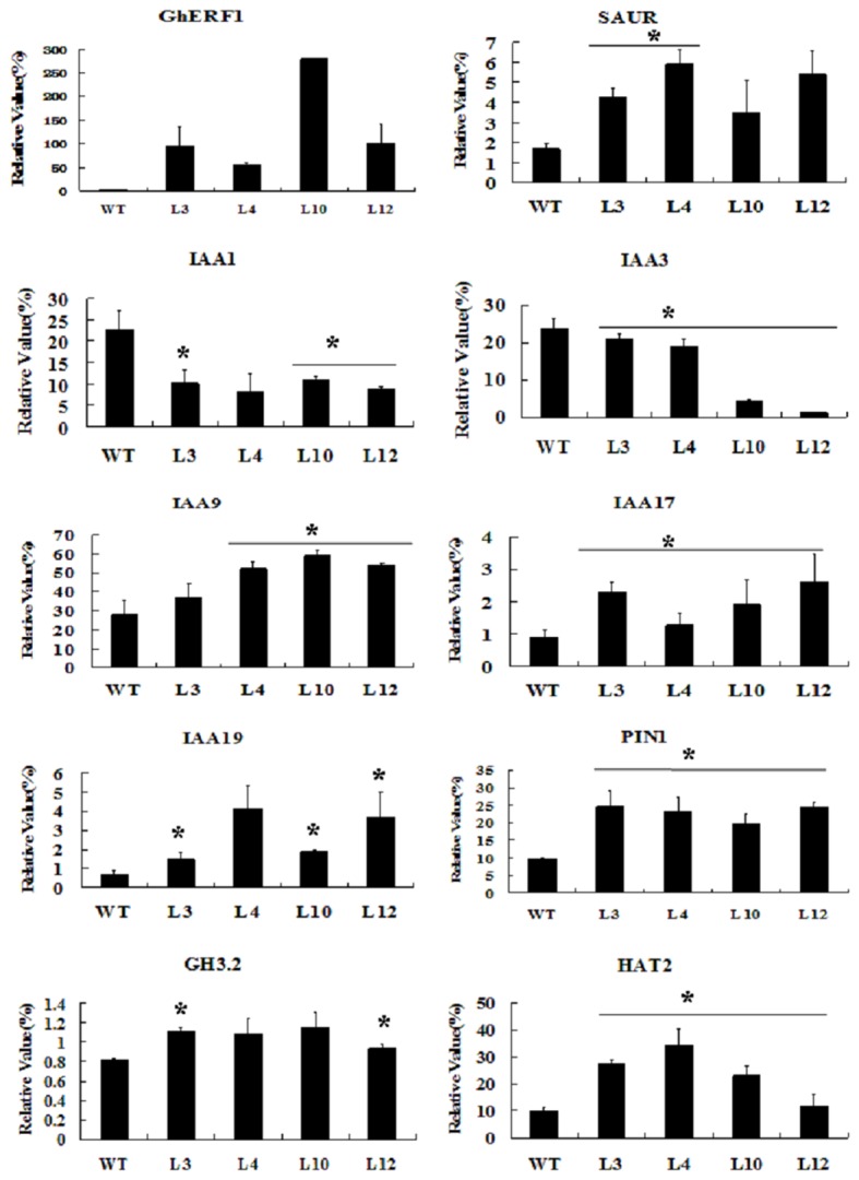 Figure 6