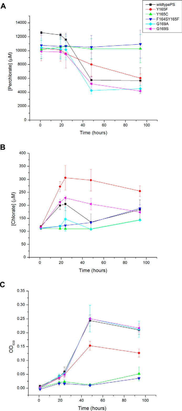 FIGURE 7.