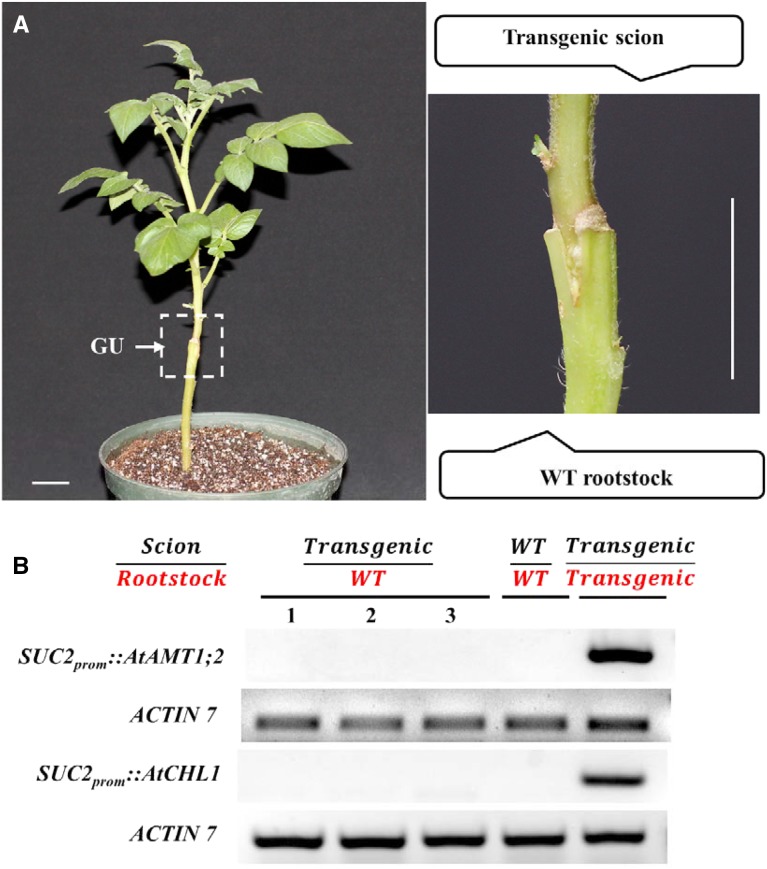 Figure 3.