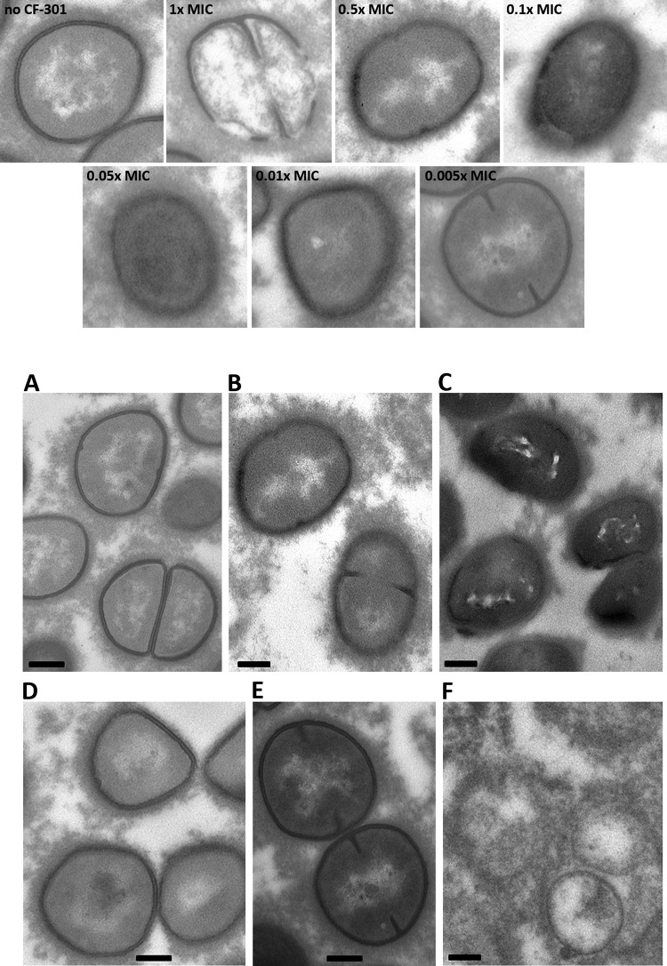 FIG 2