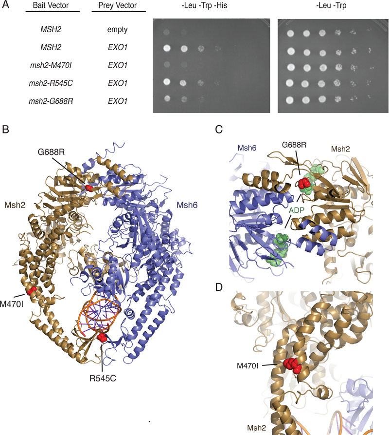 Figure 4.