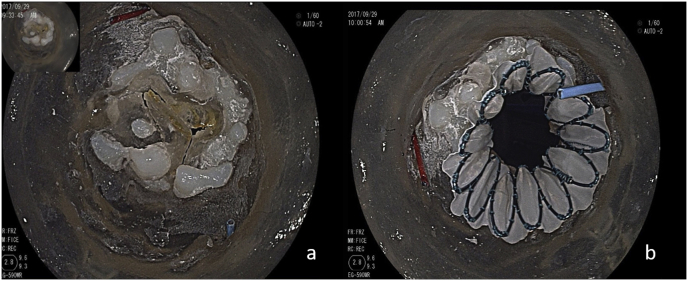 Fig. 4