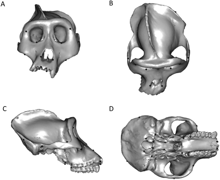 Fig 1