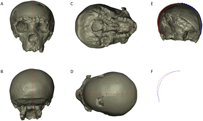 Fig 3