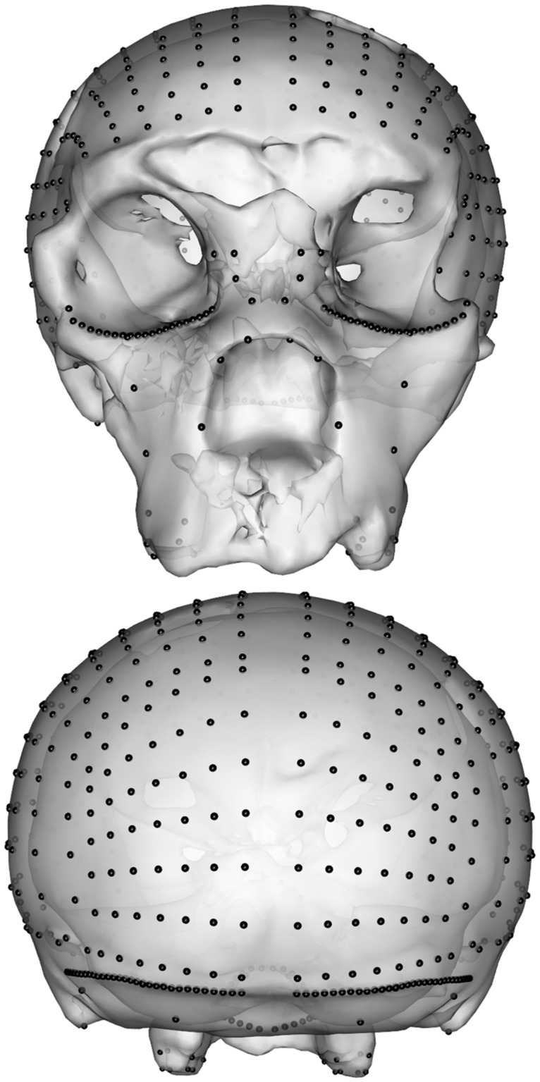 Fig 6