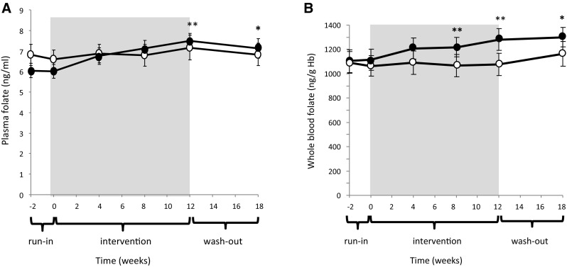 Fig. 3