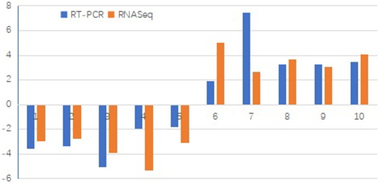 Fig 10