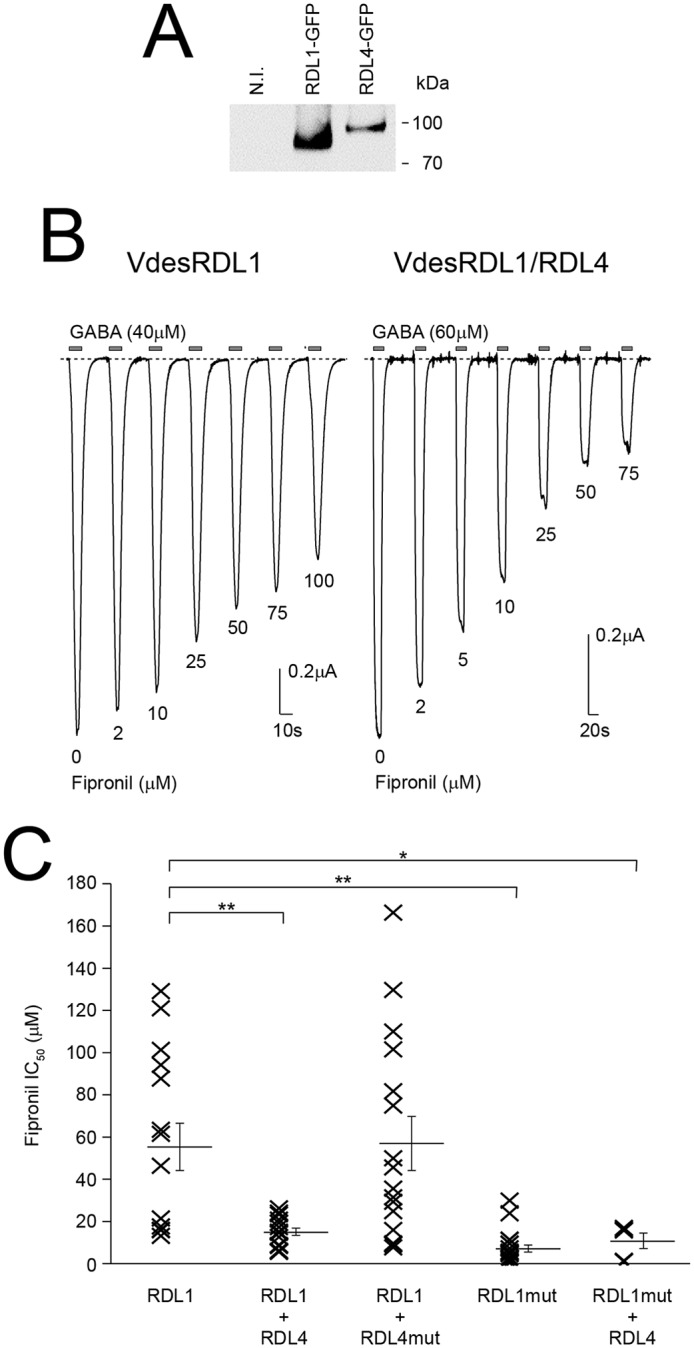 Figure 5.