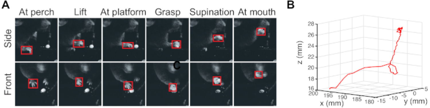 Figure 1: