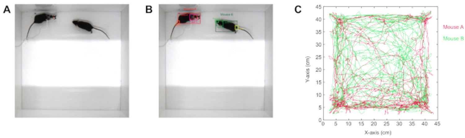 Figure 2: