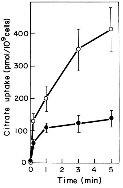 FIG. 5