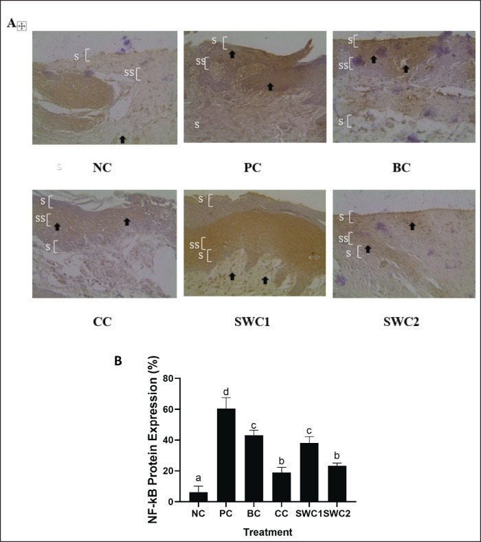 Fig. 5.